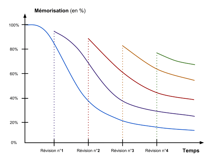 Blog Post Image